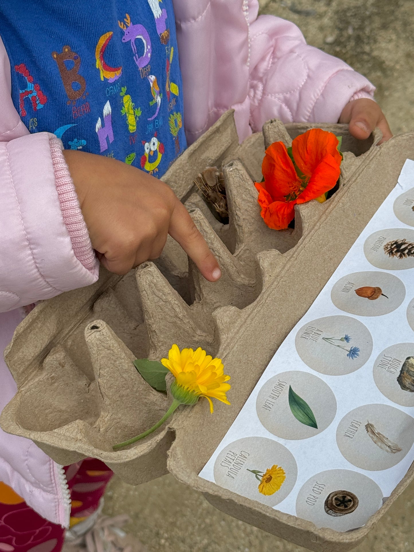 Egg Carton Nature Scavenger Hunt Printout - SoCal Garden