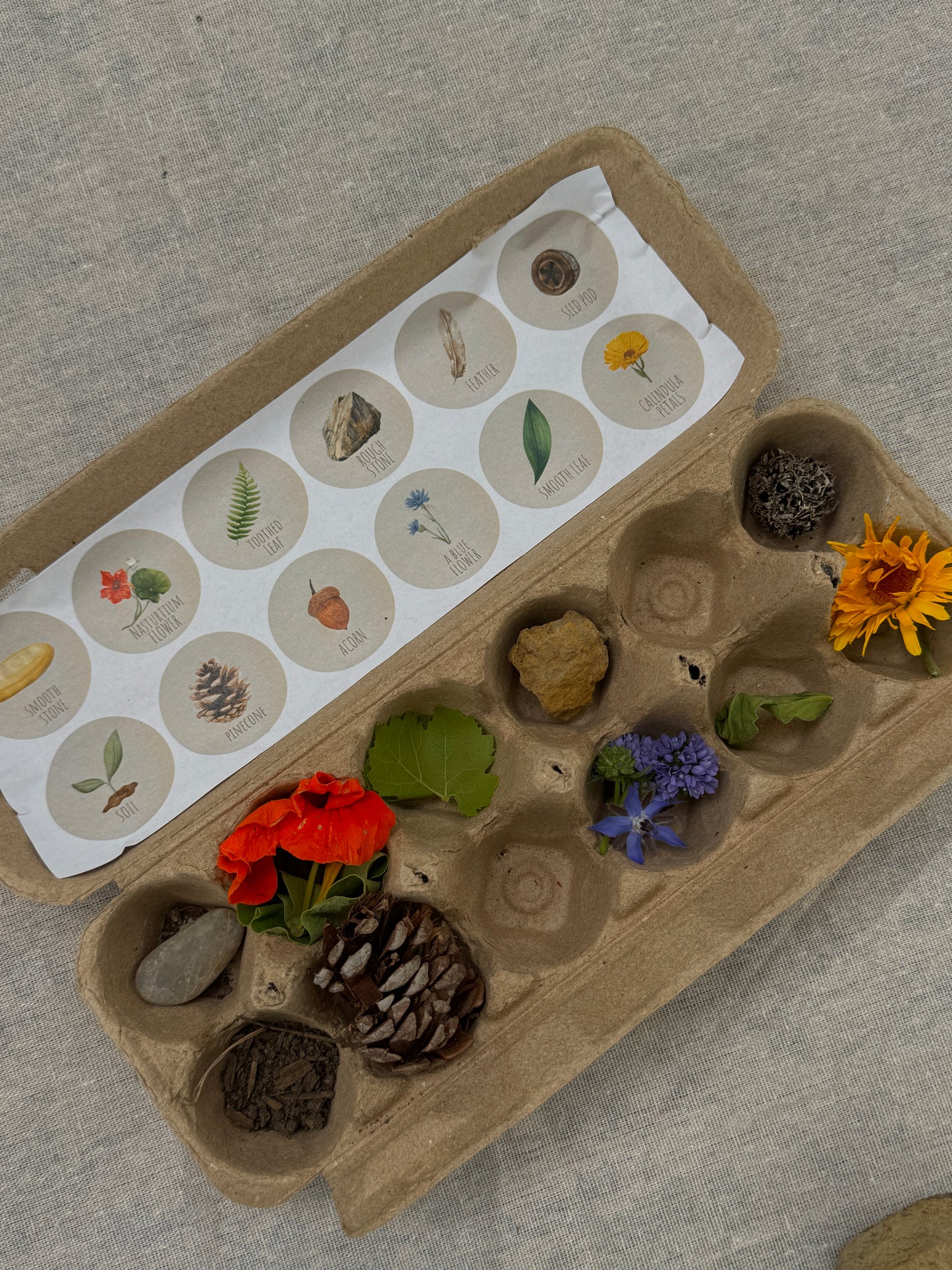 Egg Carton Nature Scavenger Hunt Printout - SoCal Garden