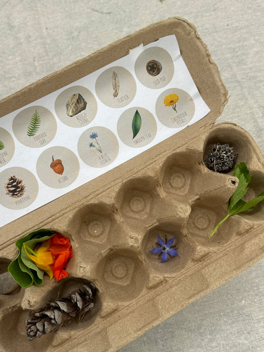 Egg Carton Nature Scavenger Hunt Printout - SoCal Garden
