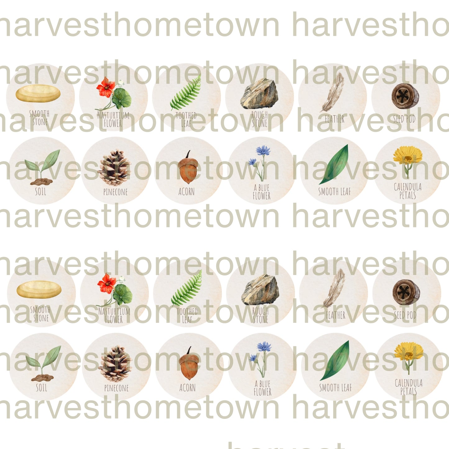 Egg Carton Nature Scavenger Hunt Printout - SoCal Garden